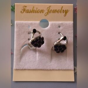 #0940 earrings grape  New by fashion jewelry